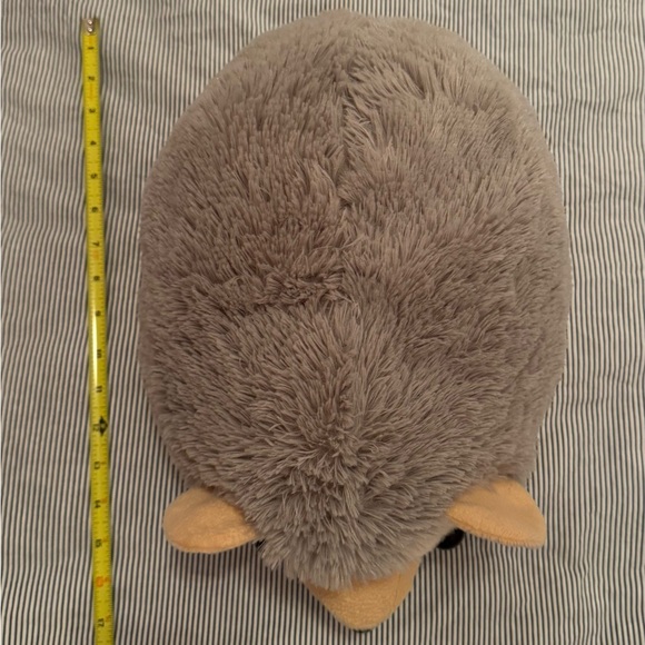 Super adorable hedgehog - Picture 4 of 4